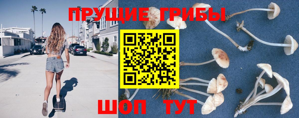Санкт-Петербург  Псилоцибиновые грибы MAGIC MUSHROOMS  Вход с VPN 
